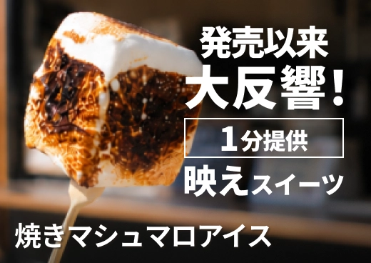 焼きマシュマロアイス（バニラ＆クッキー）｜炙るだけ1分提供｜キッチンカーやカフェに